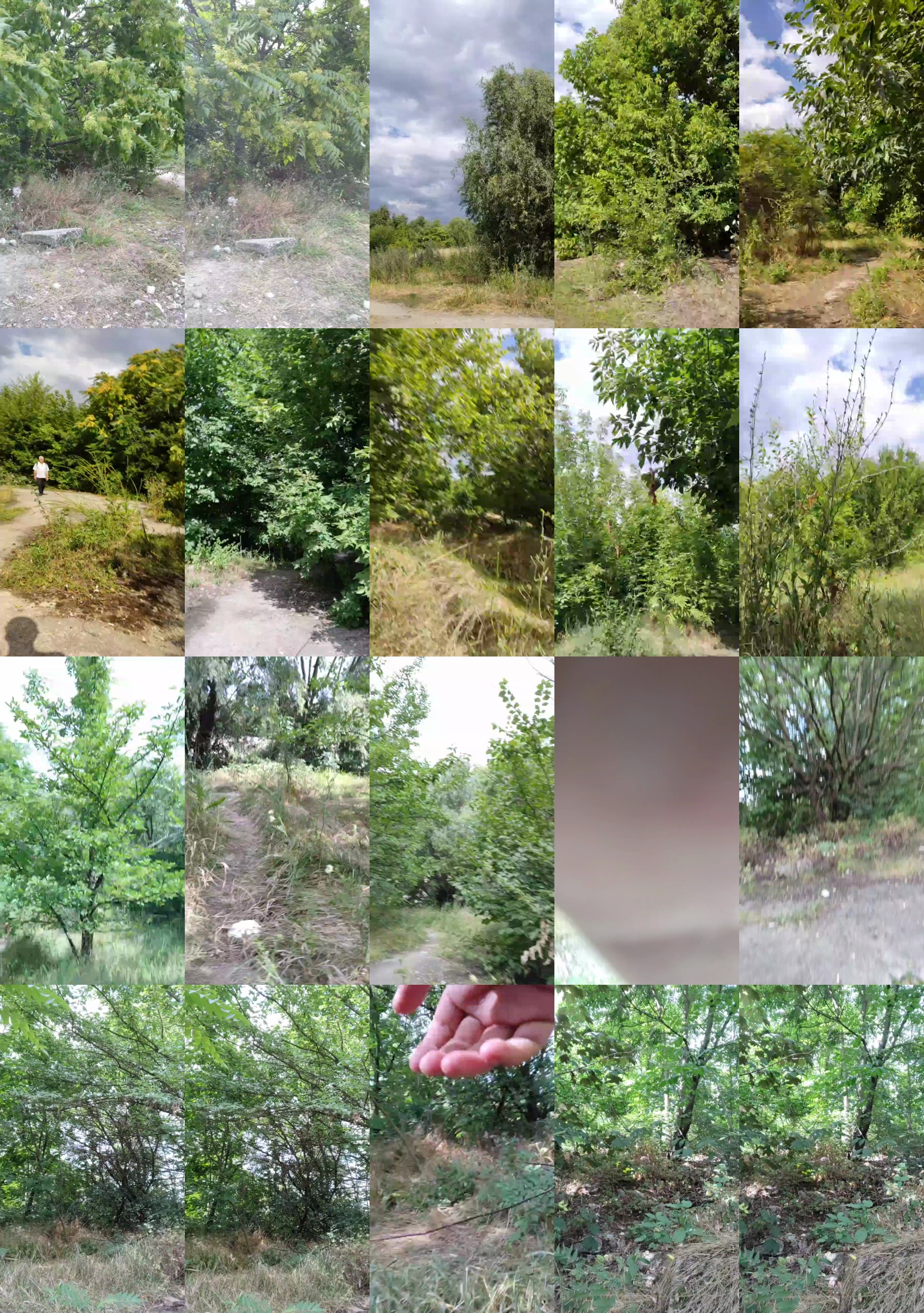 Mirko035  11-07-2022 Recorded Video Video