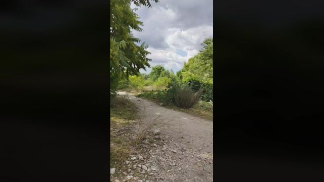 Mirko035  11-07-2022 Recorded Video Video
