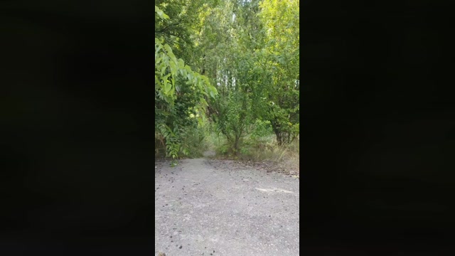 Mirko035  11-07-2022 Recorded Video kiss
