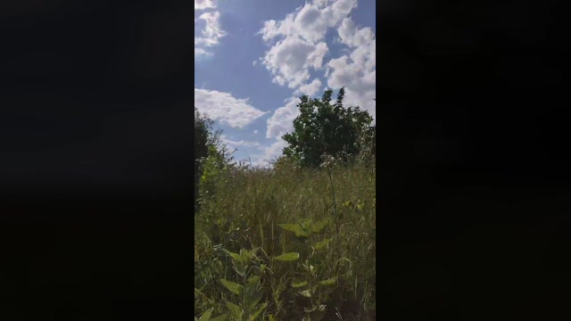Mirko035  11-07-2022 Recorded Video Topless