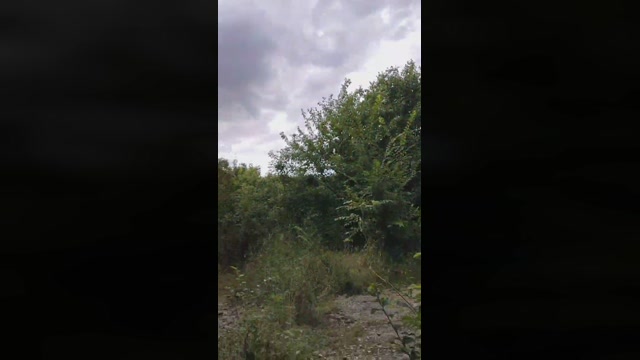 Mirko035  11-07-2022 Recorded Video gay
