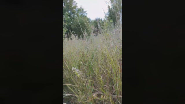 Mirko035  12-07-2022 Recorded Video lick
