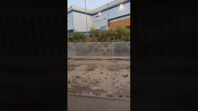 Public___  12-07-2022 Recorded Video lick