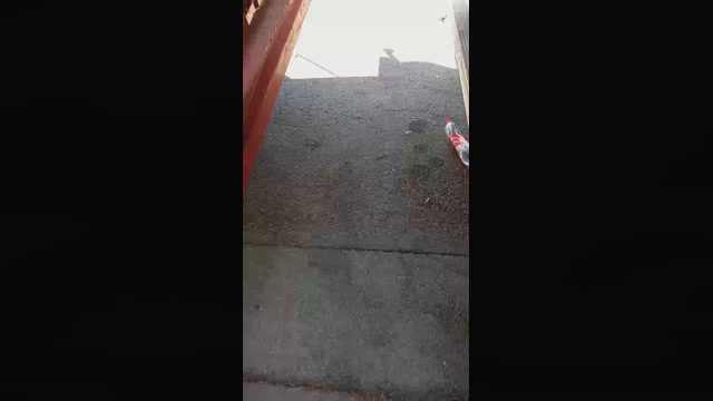 Public___  11-07-2022 Recorded Video kink