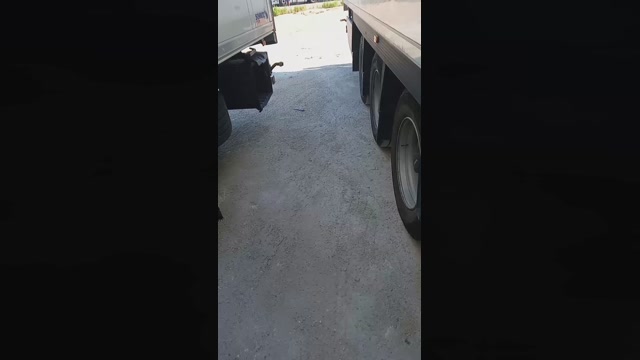Public___  12-07-2022 Recorded Video fingers