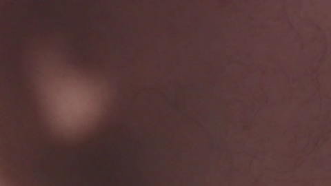 porn88s  12-07-2022 video orgasm