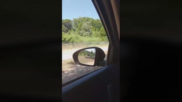 Bcnees  13-07-2022 Recorded Video suckcock