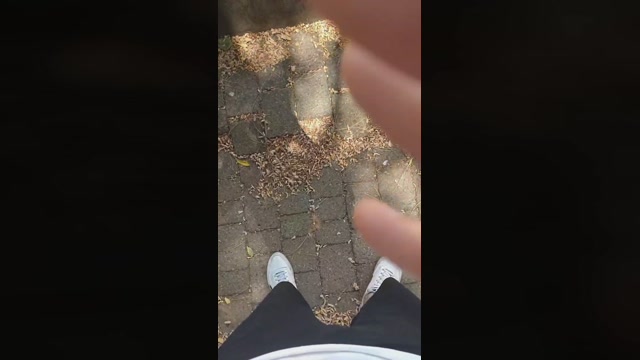 LUXARISTOS81  13-07-2022 Recorded Video bigballs