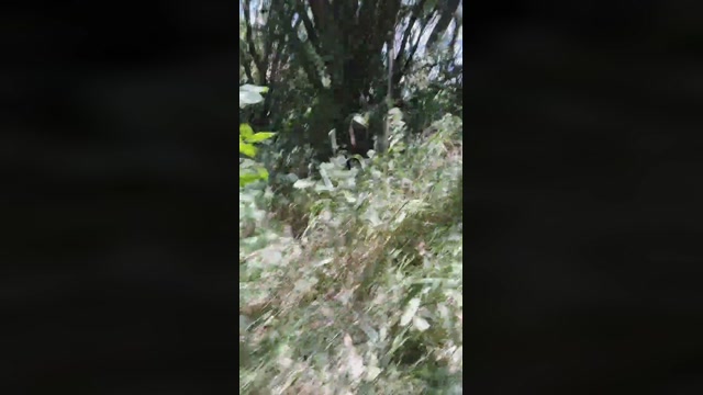 Mirko035  13-07-2022 Recorded Video dirty