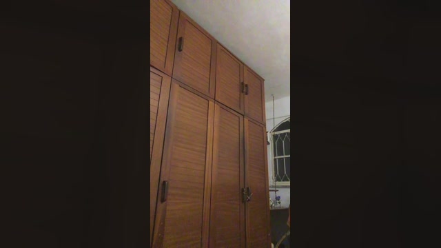 Wallacezinh2  13-07-2022 Recorded Video bigtoys