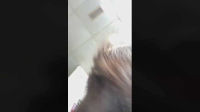 isabelaaa1