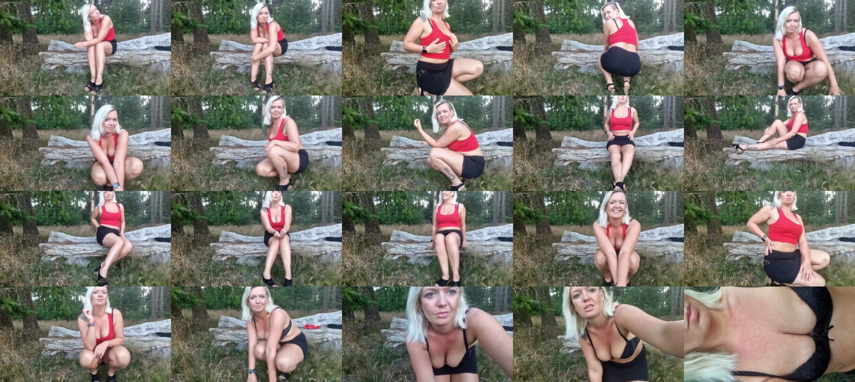 Preview