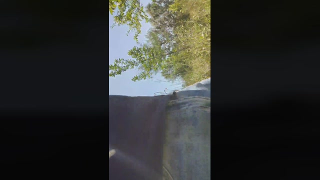 Mirko035  14-07-2022 Recorded Video sexy