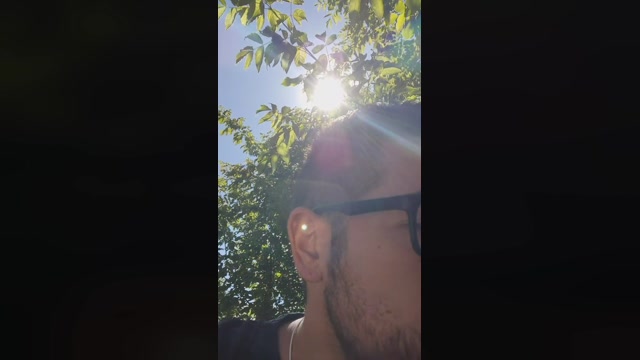 Mirko035  14-07-2022 Recorded Video analtoy