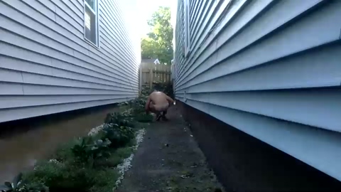 loukyhung69  14-07-2022 video striptease