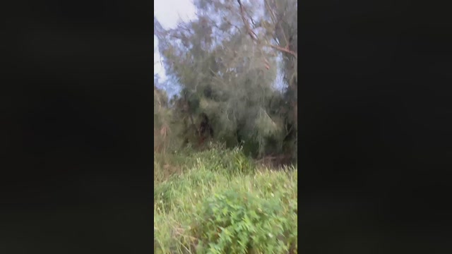 Hufox203145  15-07-2022 Recorded Video beauty