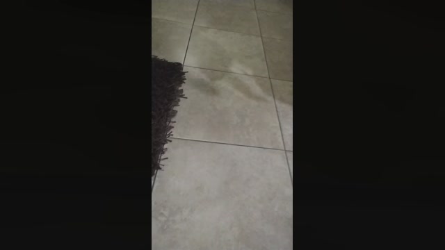 StivenX2  15-07-2022 Recorded Video bigtoys