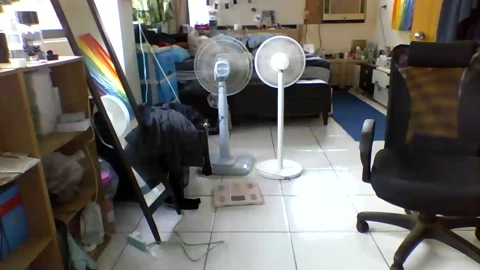 azhe0795  15-07-2022 Recorded Video squirt