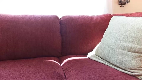 evan_p18  14-07-2022 video Video