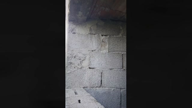 michaelgrandi23  14-07-2022 Recorded Video cute