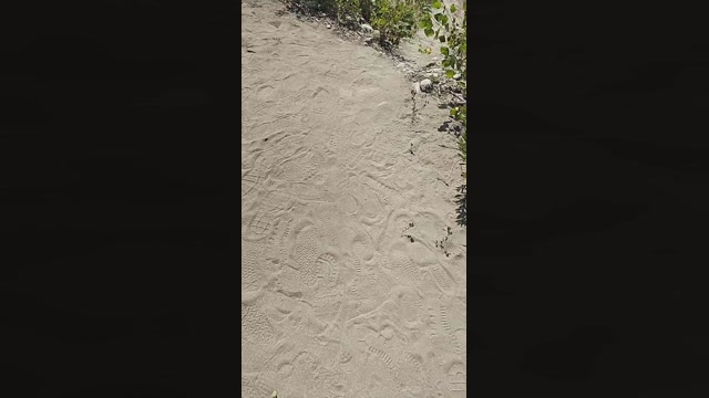 Texnext  17-07-2022 Recorded Video amateur