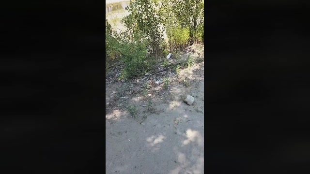 Texnext  17-07-2022 Recorded Video big
