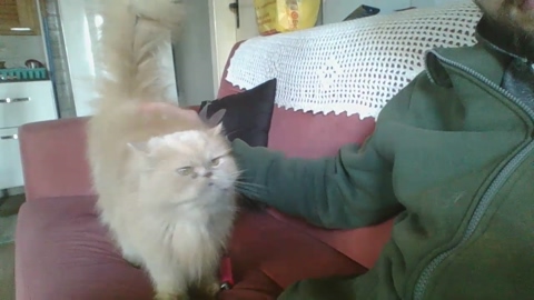 OliverNutri  17-07-2022 Recorded Video bigass