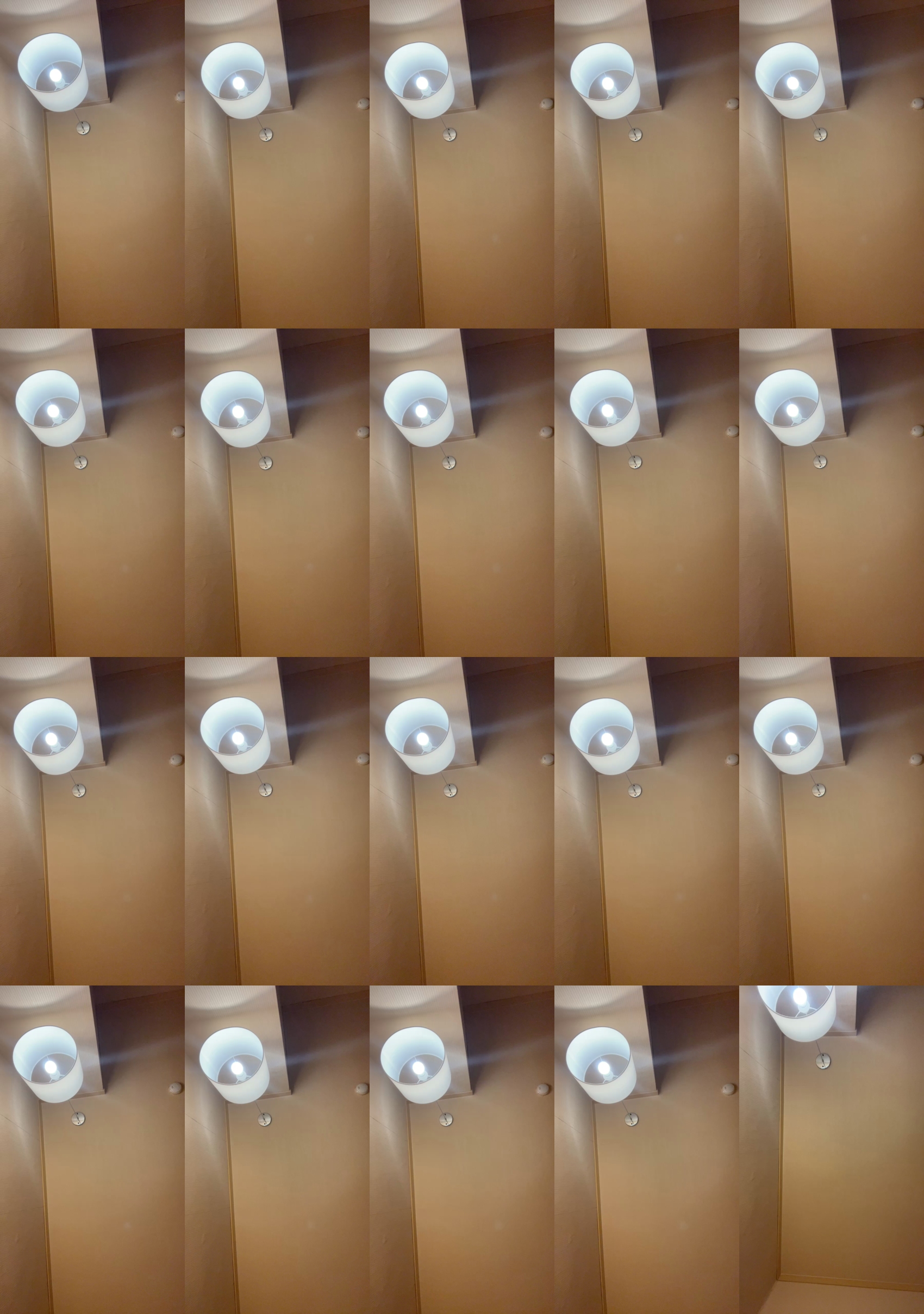 azhe0795  17-07-2022 Recorded Video Ass