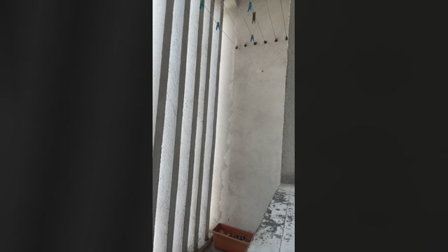 Babyboy2021xxx  18-07-2022 Recorded Video blowjob