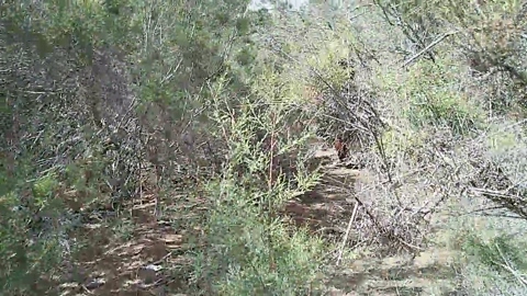 Pabloysebas  18-07-2022 Recorded Video Recorded