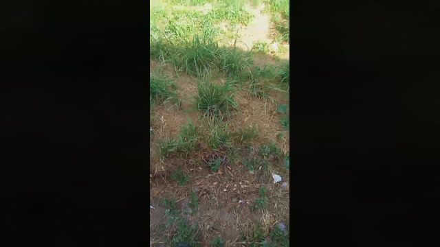 Public___  19-07-2022 Recorded Video jerkoff