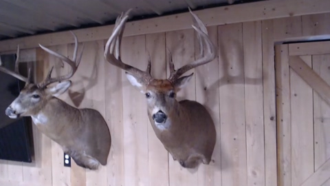 lancehardin  20-07-2022 video oral