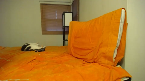 notabottom  20-07-2022 video suckshow