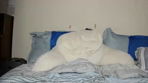 willyt98  20-07-2022 video amateur