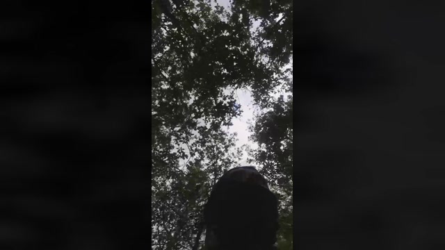 Geilesfickloch  21-07-2022 Recorded Video Pretty