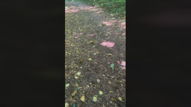 PacinoDeniro  21-07-2022 Recorded Video moan