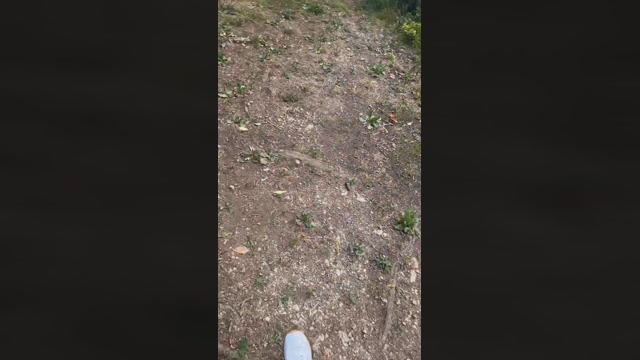 PacinoDeniro  21-07-2022 Recorded Video lush