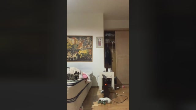 LucyMayers  22-07-2022 bj-dildo Females