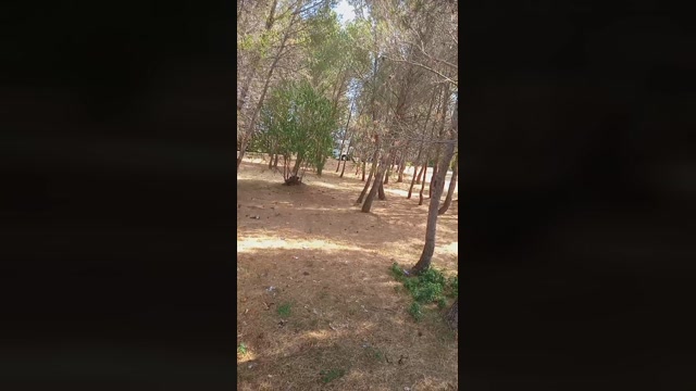 Public___  22-07-2022 Recorded Video lick