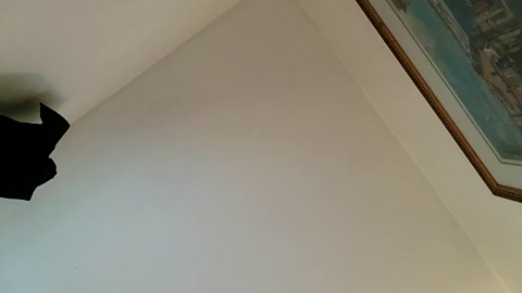 gaypoonboy  22-07-2022 video lush