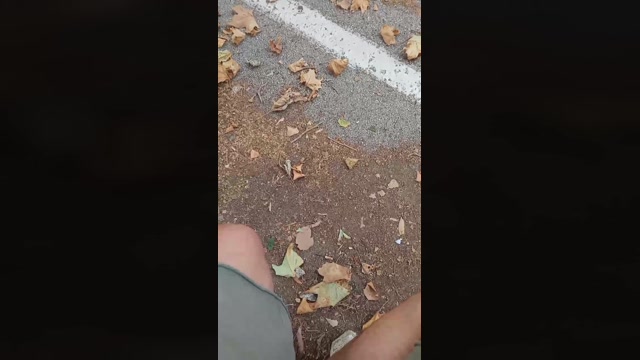 Public___  23-07-2022 Recorded Video XXX