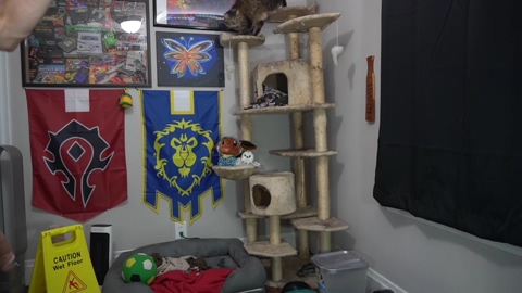 sydaffect  23-07-2022 video bigcock