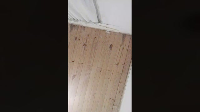 BeEluU  24-07-2022 fingering Females