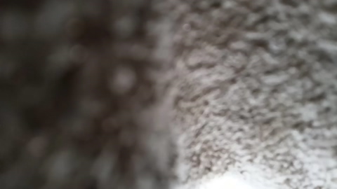 Chupetta89 24-07-2022 Cam 