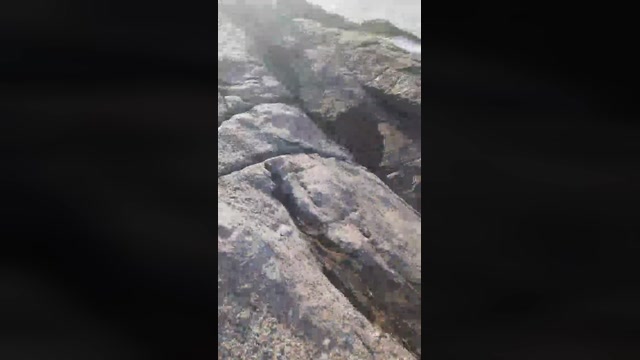 Gaelpiroca2  24-07-2022 Recorded Video fuckface
