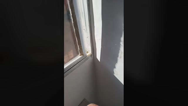 Gatogostoso24  24-07-2022 Recorded Video fuckher