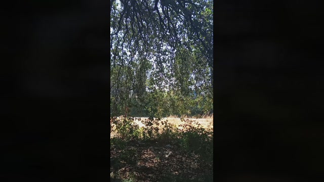 Public___  24-07-2022 Recorded Video harddick
