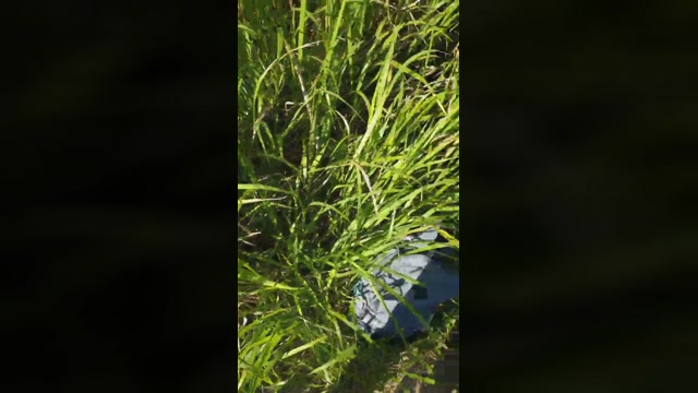 tarcton78  24-07-2022 Recorded Video deepthroat