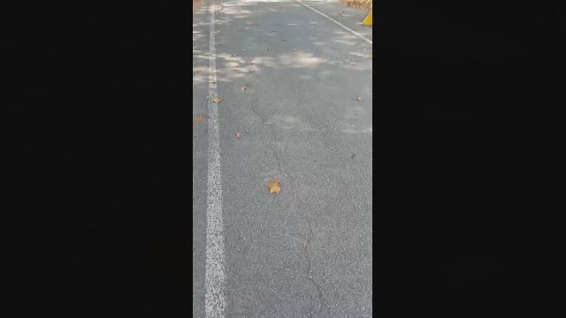 Public___  25-07-2022 Recorded Video Video