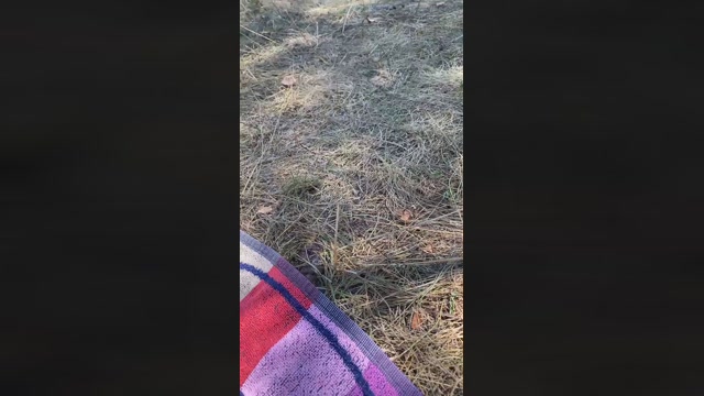 fonsi4r1  25-07-2022 Recorded Video jerkoff